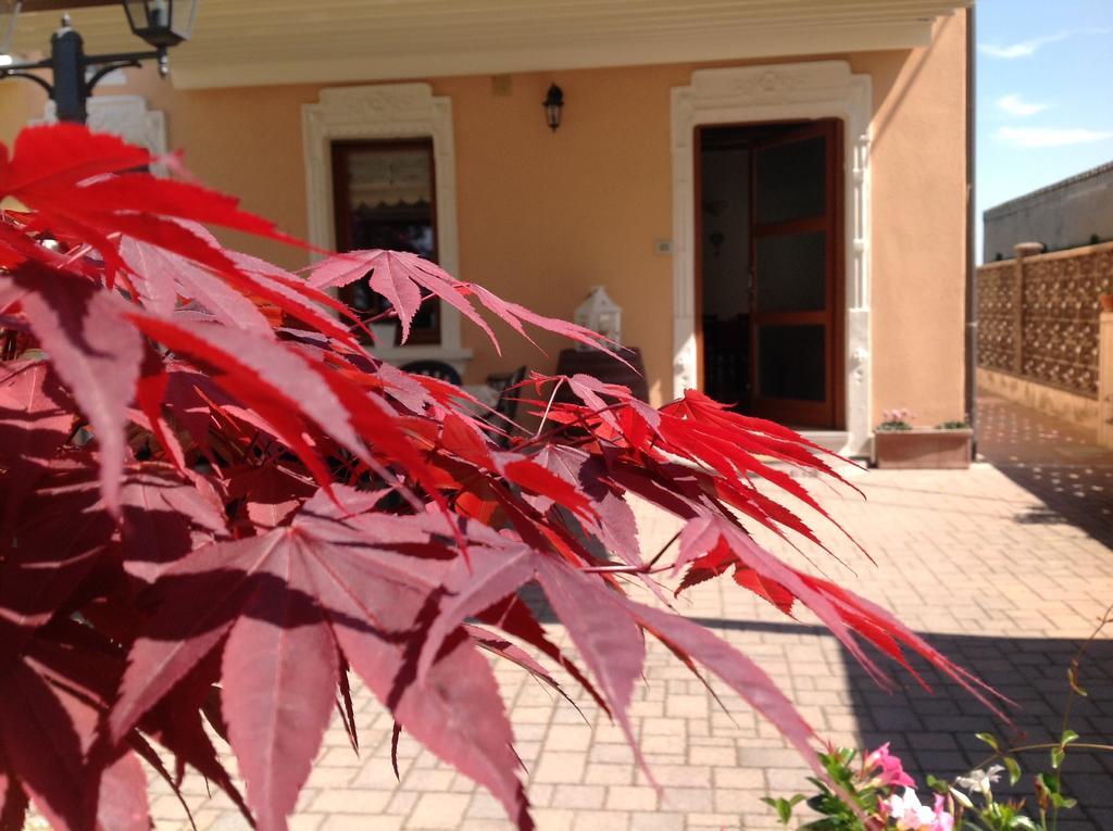 סן ג'יובאני לופאטוטו B&B Acero Rosso מראה חיצוני תמונה